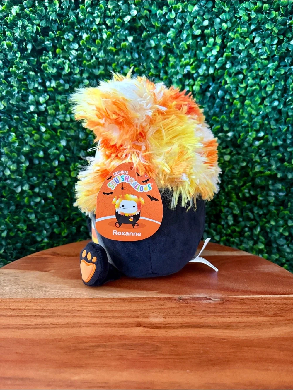 Squishmallows brand new